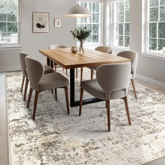 10x14 area carpet Living Room carpet - washable neutral modern abstract soft thin