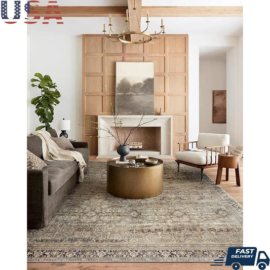 Soft Durable Accent Rug Designer Area Rug Living Room Bedroom Dining Room Home Office Low Pile Easy Maintenance