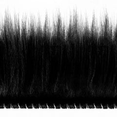 BedStory Sheepskin Rug 2X3 - 4X6 Ft Area Rug Faux Fur Rug for Bedroom Bedside Living Room Plush Soft Rug Luxury Home Decoration