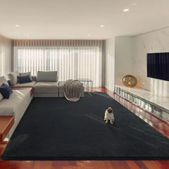 Black Rugs for Living Room 5x7 Feet Shag Rugs for Bedroom Area Rug Modern Soft Rugs for Kids Room,Nursery