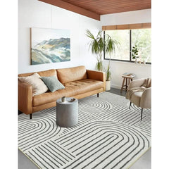 Abstract Washable Area Rug, 5x7 Rug for Bedroom Non-Slip Soft Living Room Rug, Ultra-Thin Modern Black and White Rug Stain
