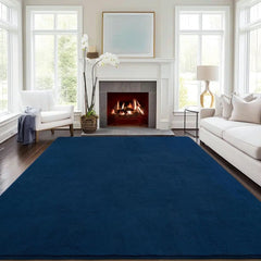Black Rugs for Living Room 5x7 Feet Shag Rugs for Bedroom Area Rug Modern Soft Rugs for Kids Room,Nursery