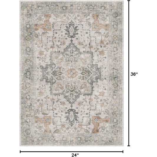 Area Rug 2x3 Doormat, Machine Washable Low Pile Rugs, Small Retro Chenille Entryway Mat for Entrance, Hallway