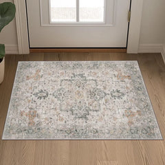 Area Rug 2x3 Doormat, Machine Washable Low Pile Rugs, Small Retro Chenille Entryway Mat for Entrance, Hallway