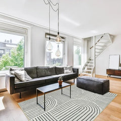 Abstract Washable Area Rug, 5x7 Rug for Bedroom Non-Slip Soft Living Room Rug, Ultra-Thin Modern Black and White Rug Stain