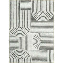 Abstract Washable Area Rug, 5x7 Rug for Bedroom Non-Slip Soft Living Room Rug, Ultra-Thin Modern Black and White Rug Stain
