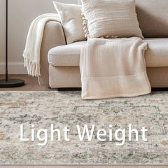 Area Rug 8x10, Machine Washable Rugs for Living Room, Non Slip Carpet Printed, Low Pile, Light Taupe Brown