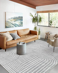 Abstract Washable Area Rug, 5x7 Rug for Bedroom Non-Slip Soft Living Room Rug, Ultra-Thin Modern Black and White Rug Stain