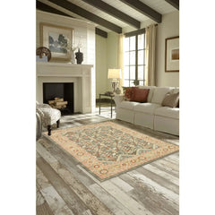 Persian Border Medallion Loop Print Rust Brown Indoor Area Rug, 7'x10'