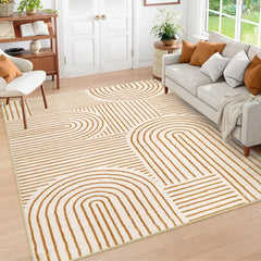 Abstract Washable Area Rug, 5x7 Rug for Bedroom Non-Slip Soft Living Room Rug, Ultra-Thin Modern Black and White Rug Stain