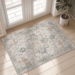 Area Rug 2x3 Doormat, Machine Washable Low Pile Rugs, Small Retro Chenille Entryway Mat for Entrance, Hallway